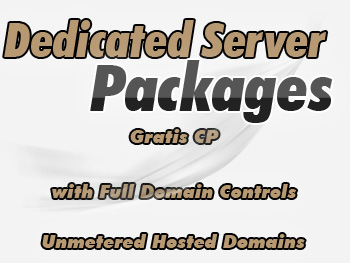 Modestly priced dedicated server service